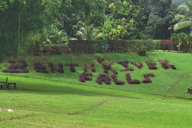 Private Half Day Tour at Benta Falls - Lunch at the 45 to 60-minute stop