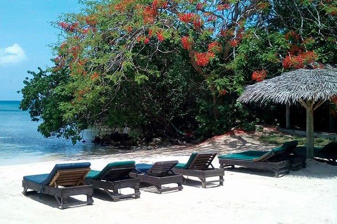 Private Half Moon Beach Tour from Montego Bay - Two hours on Half Moon’s white sand