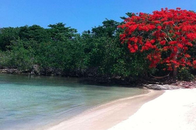 Private Half Moon Beach Tour from Montego Bay - Choosing the boat to Calico Jack’s Private Island
