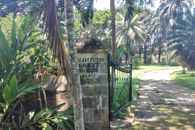 Private Hampden Estate Rum Tour from Montego Bay or Falmouth - Is $149.99 per person good value?