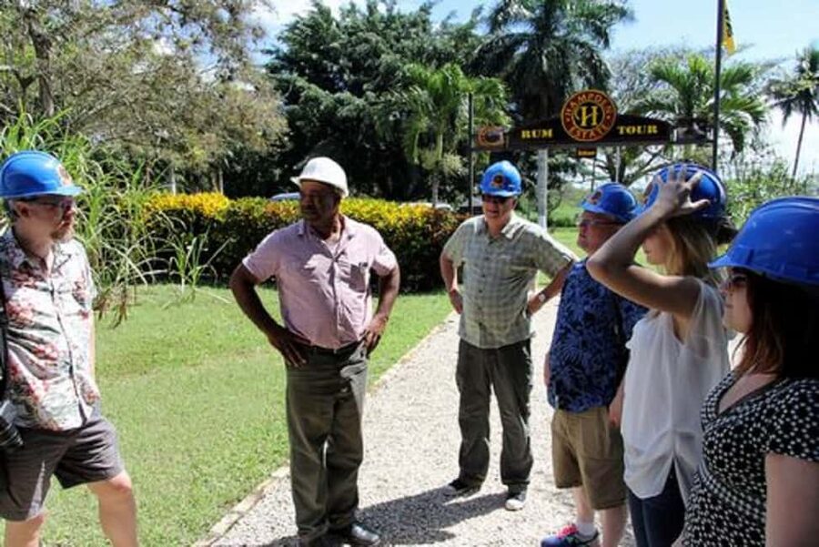 Private Hampden Estate Rum Trip from Montego Bay - Key points to know before booking
