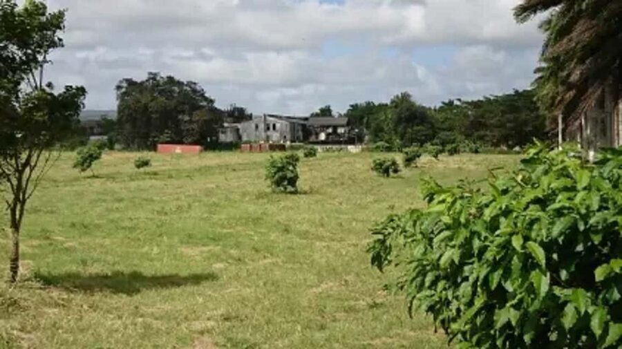 Private Hampden Estate Rum Trip from Montego Bay - Why Hampden Estate is worth the road trip