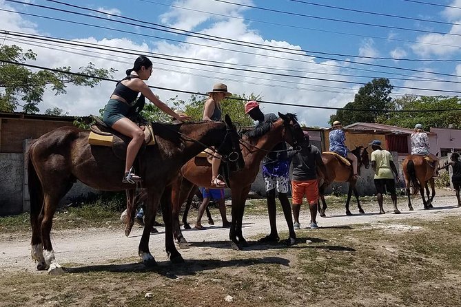 Private Horseback Riding from Ocho Rios with Guide - Pickup from hotels and cruise ships