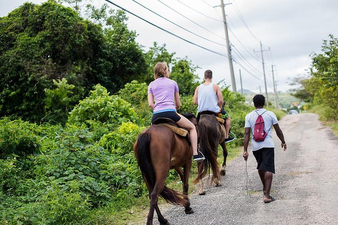 Private Horseback Riding from Ocho Rios with Guide - A private ride with more room for questions