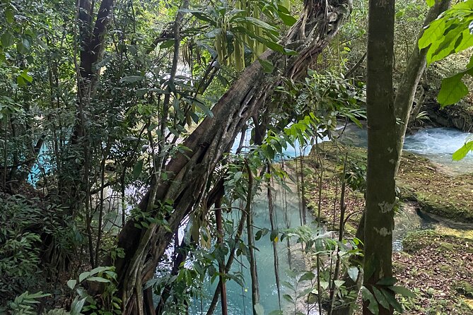 Private Horseback Riding with Blue Hole River Tour in Montego Bay - Starting from Montego Bay, with the road part included