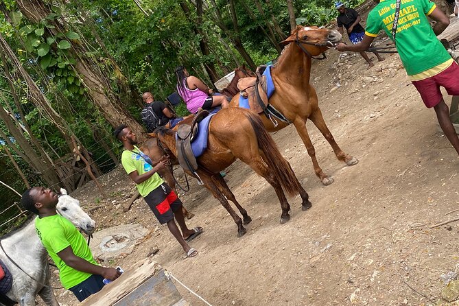 Private Horseback Riding with Blue Hole River Tour in Montego Bay - Moving from the beach to Blue Hole River