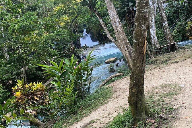 Private Horseback Riding with Blue Hole River Tour in Montego Bay - What the private format changes