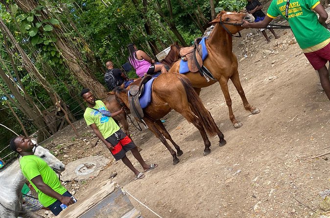 Private Horseback Riding with Blue Hole River Tour in Montego Bay - Should you book the Blue Hole and horseback tour?