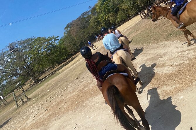 Private Horseback Riding with Blue Hole River Tour in Montego Bay - Choosing a horse at Discover Bay