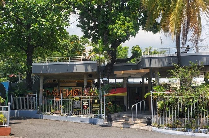 Private Kingston and Bob Marley Museum Tour from Falmouth - Bob Marley’s former home is the emotional center