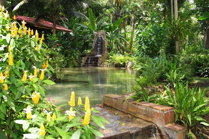 Private Konoko Falls and Blue Hole Combo Tour from Ocho Rios - Timing the day around a cruise stop