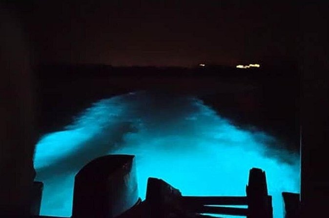 Private Luminous Blue Lagoon Night Tour in Falmouth - Booking details worth checking first