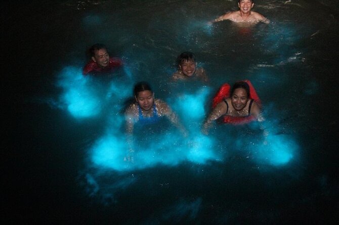 Private Luminous Blue Lagoon Night Tour in Falmouth - Should you book the Luminous Lagoon tour?