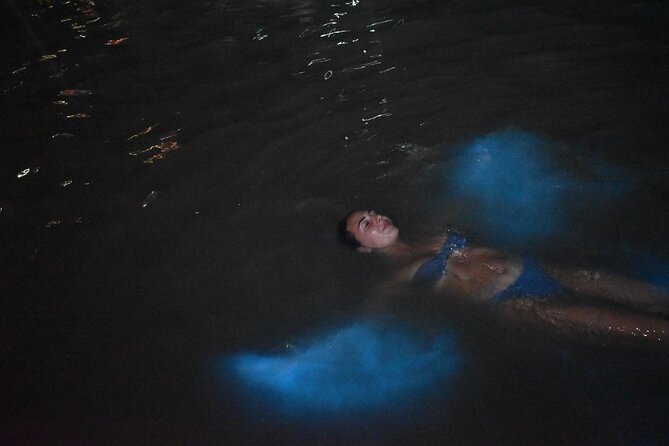 Private Luminous Lagoon Tour from Montego Bay - The $65 price and the extra admission fee