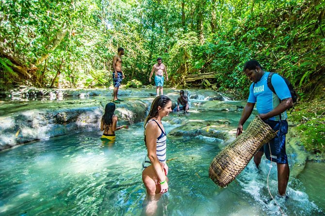 Private Mayfield Falls Waterfalls Tour [ Transportation ] - Why Mayfield Falls works well as a half-day trip