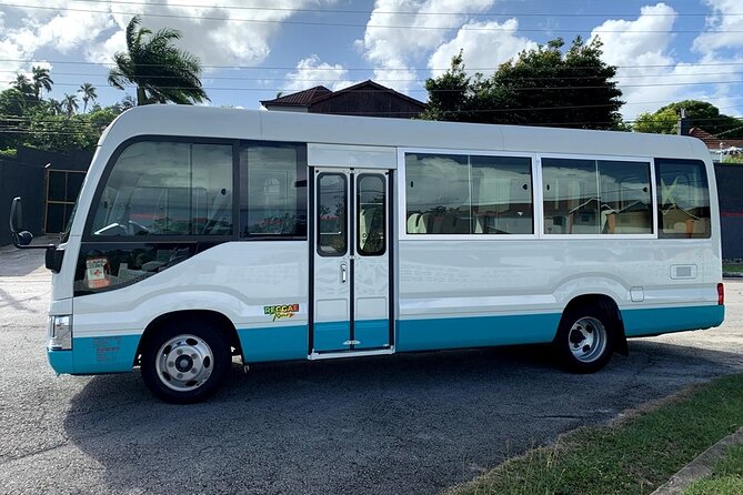 Private Montego Bay Airport Transfer to Ocho Rios Hotels - Choosing the right vehicle for people and luggage