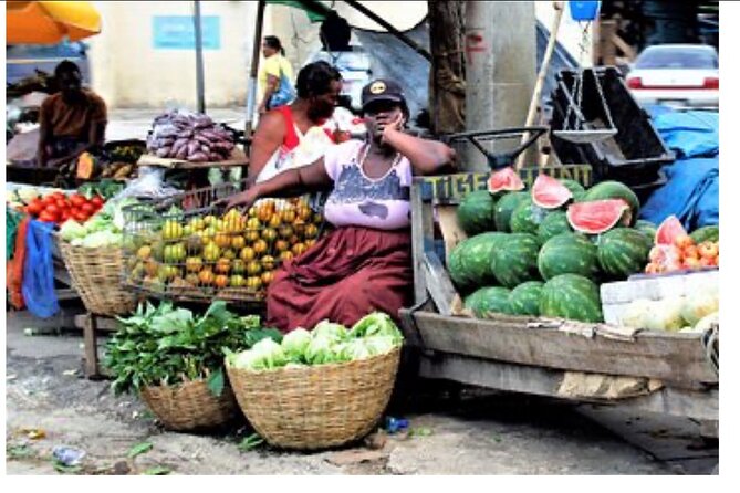 Private Montego Bay City Tour with Sightseeing and Shopping - What the private vehicle adds