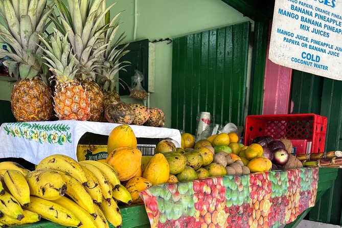 Private Montego Bay Customized Tour with Pickup and Guide - Seeing Montego Bay with room to change plans