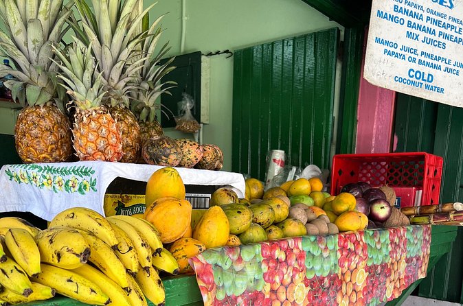 Private Montego Bay Customized Tour with Pickup and Guide - Why private transportation changes the experience