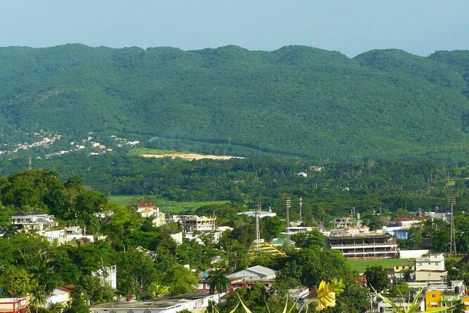 Private Montego Bay Highlights Tour with Pickup Included - Fruit stalls and a taste of the season