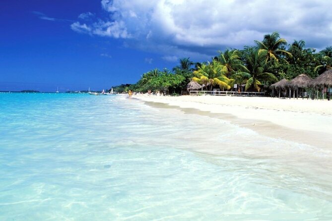 Private Negril Day Trip to Seven Miles Beach and Rick's Cafe from Runaway Bay - What private service changes for your day