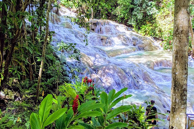 Private Ocho Rios highlight tour - Two Sides of Ocho Rios in Four Hours