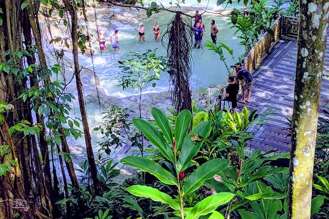 Private Ocho Rios highlight tour - A Private Tour That Keeps the Pace Flexible