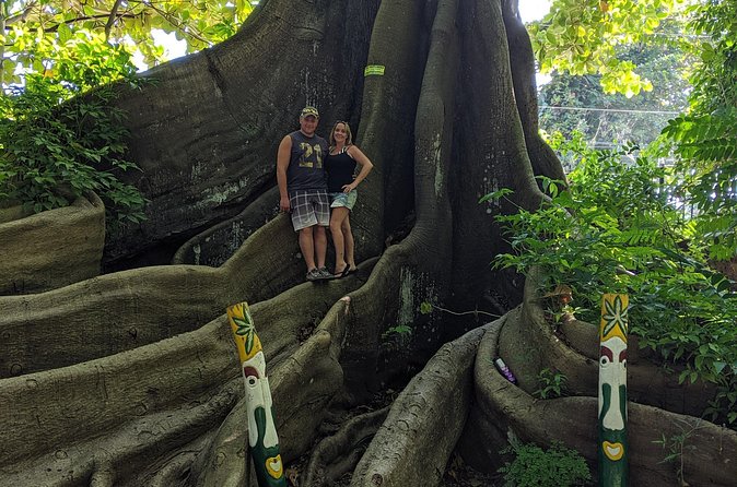 Private Ocho Rios highlight tour - What the $80 Price Buys You