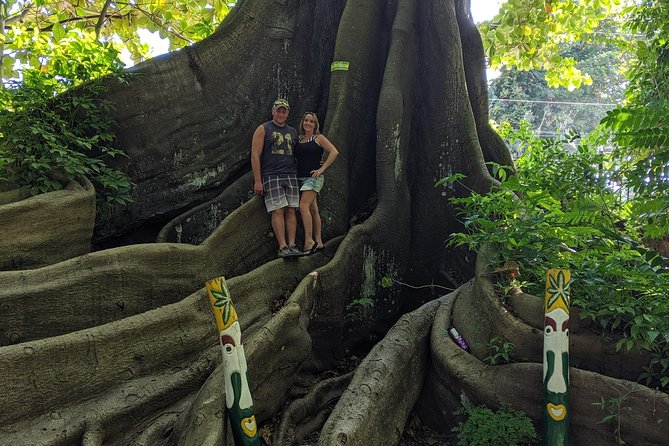 Private Ocho Rios highlight tour - Pickup: The Detail You Should Confirm