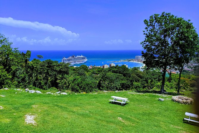 Private Ocho Rios highlight tour - Fern Gully’s Rainforest Drive