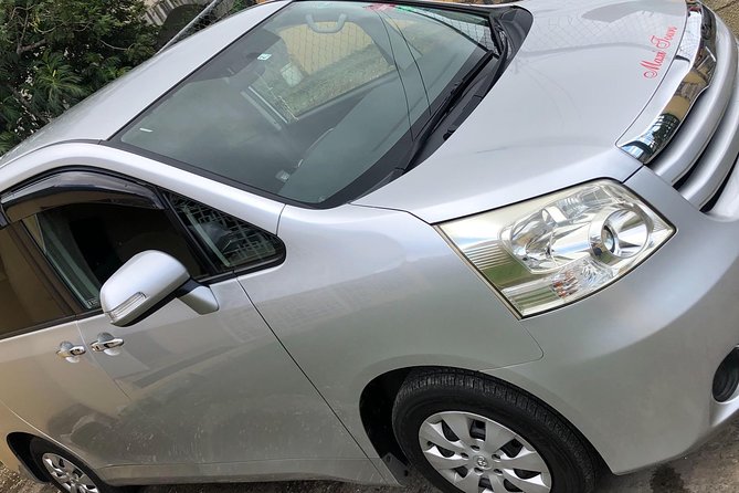 Private Round-trip MBJ Airport Transfer to Montego Bay Hotels - What the arrival service feels like