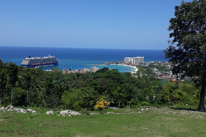 Private Sightseeing Tour from Ocho Rios - Fern Gully: Ocho Rios’s coolest scenic drive