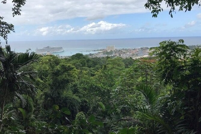 Private Sightseeing Tour in & Around Ocho Rios - What this Ocho Rios tour is really about