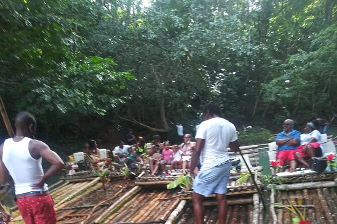 Private Sightseeing Tour in & Around Ocho Rios - The botanical-garden area and local plants