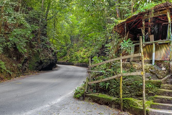 Private Sightseeing Tour in & Around Ocho Rios - Fern Gully, Ocho Rios’s green road