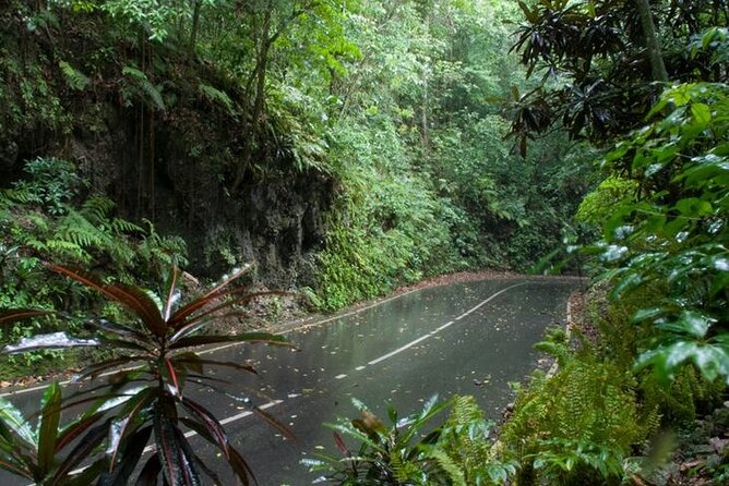 Private Sightseeing Tour in & Around Ocho Rios - How flexible is the private format?