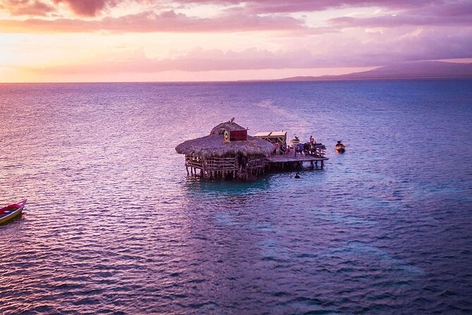 Private Tour from Negril to YS Falls and Pelican Bar - What a private driver adds to the day