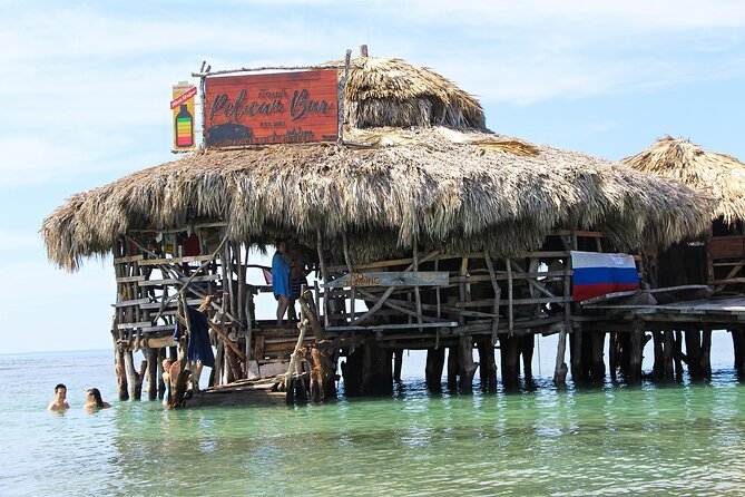 Private Tour from Negril to YS Falls and Pelican Bar - Who should book this Negril excursion?