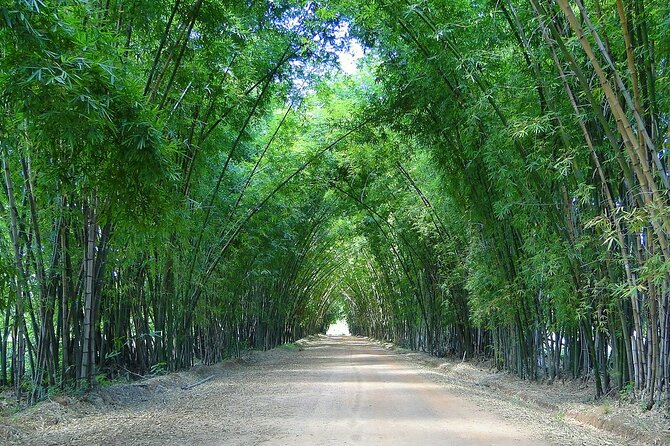 Private Tour from Negril to YS Falls and Pelican Bar - Booking details and cancellation terms