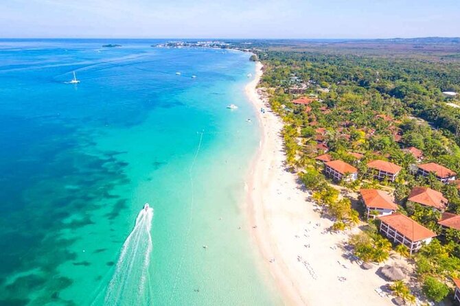 Private Tour From Ocho Rios or Runaway Bay To Negril 7 Miles Beach & Ricks Cafe - The practical details that shape your day