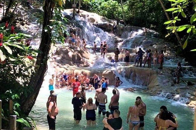 Private Tour From Ocho Rios To Dunn's River Falls - Who will enjoy this outing most?