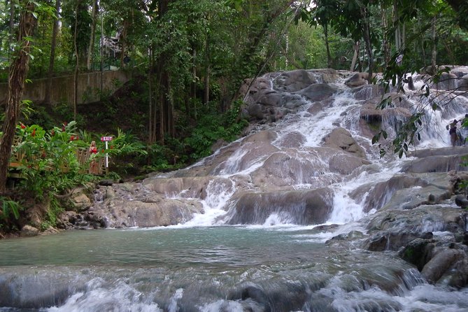 Private Tour From Ocho Rios To Dunn's River Falls - Practical details before you reserve