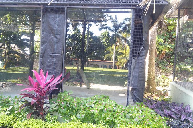 Private Tour From Ocho Rios To Konoko Falls And Garden and Shopping - How Long You Really Need