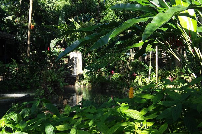 Private Tour From Ocho Rios To Konoko Falls And Garden and Shopping - Service That Helps on a Short Day