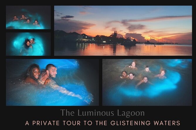 Private Tour in the Glistening Waters from Montego Bay - Key points at a glance