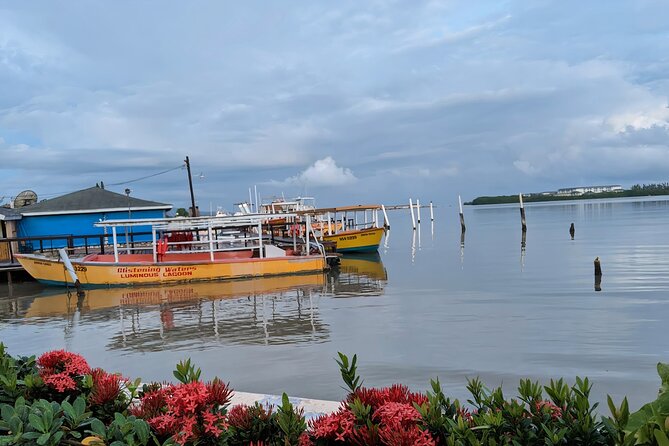 Private Tour in the Glistening Waters from Montego Bay - Watching the glow from the boat