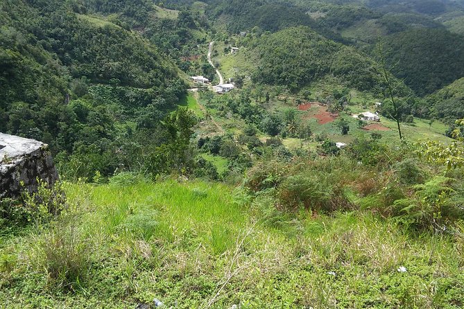 Private Tour Ocho Rios or Runaway Bay To 9 Mile Bob Marley Birth & Resting Place - Who should book this Nine Mile tour?