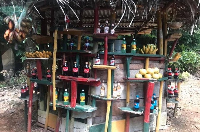Private Tour of Bob Marley House from Ocho Rios - What the private format changes