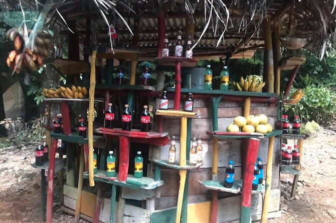 Private Tour of Bob Marley House from Ocho Rios - Practical details that shape the day