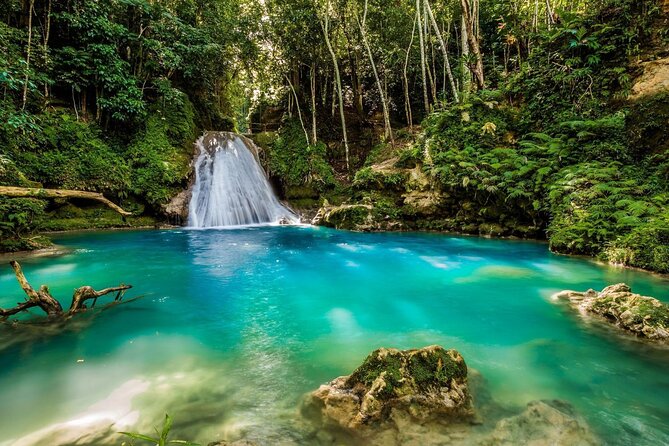 Private Tour To Blue Hole and Dunn’s River from Montego Bay - Who will enjoy this tour most